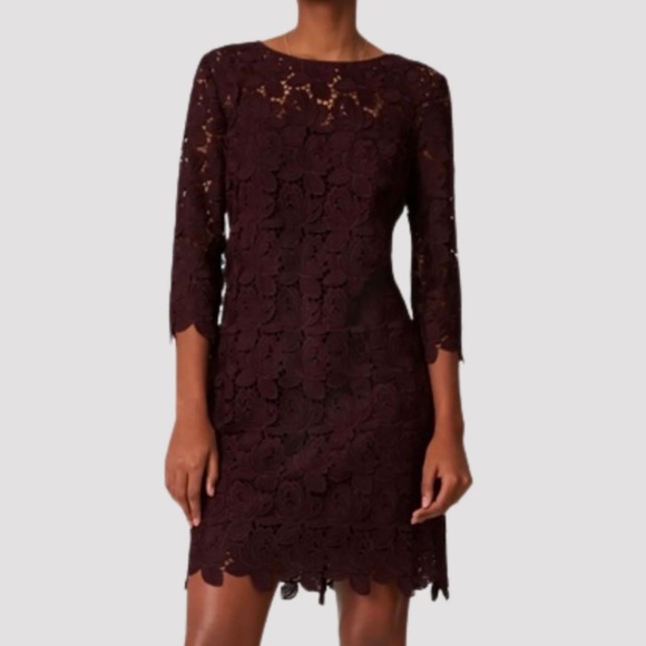 LOFT Dresses & Skirts - NWT LOFT deep purple burgundy wine floral eyelet shift dress w/ slip size 6